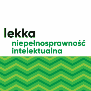 Lekka niepełnosprawność intelektualna. Teczka wspierająca pracę nauczyciela
