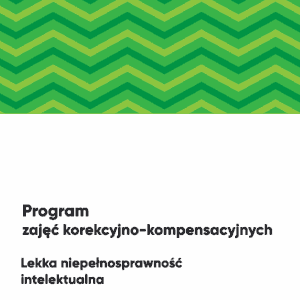 Zajęcia korekcyjno-kompensacyjne, program. Lekka niepełnosprawność intelektualna.